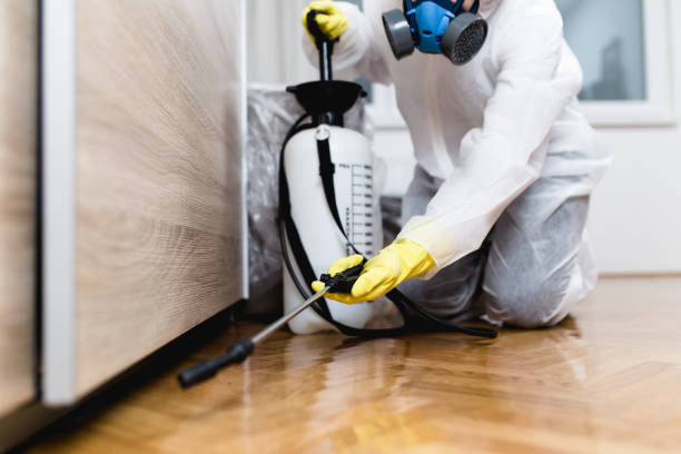 Best Insect Control  in Corning, NY