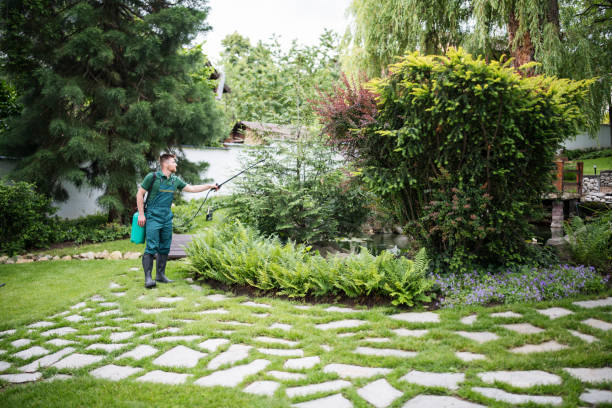Best Pest Inspection Near Me  in Corning, NY