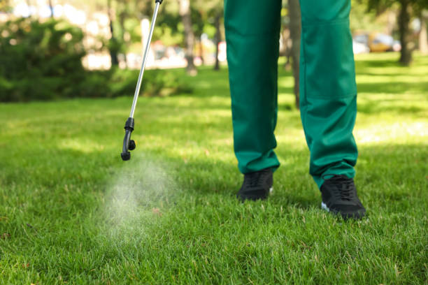 Best Termite Control Services  in Corning, NY
