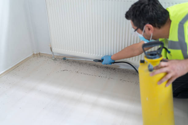 Best Residential Pest Control  in Corning, NY