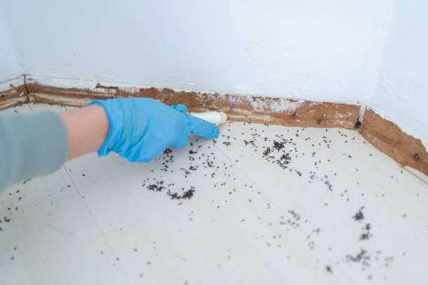 Best Wildlife Control Services  in Corning, NY